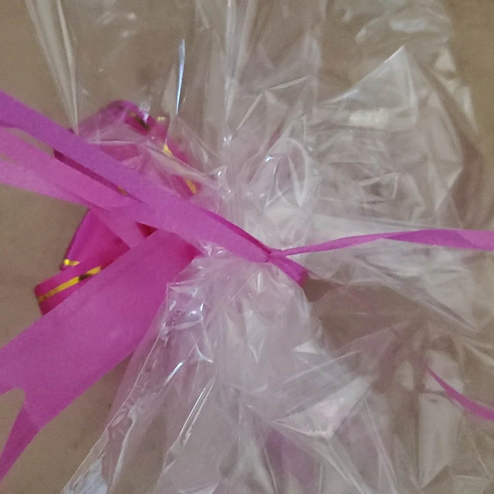 Clear Gift/Storage Bag with magenta Ribbon nwot